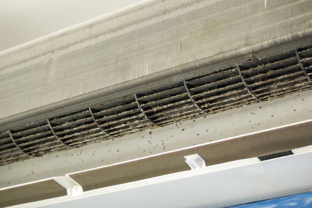 Best Air Duct Inspection  in Hinckley, IL